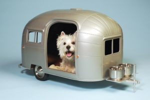 dog-camper